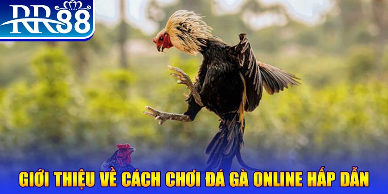 fun88go casino ĐĂNG KÝ